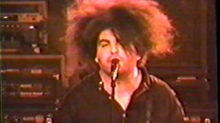 MELVINS Live  Numberss Houston Tejas 1997 Night Goat Specimen With Teeth Mombius Part 4 [upl. by Arimas754]