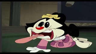 i edited an animaniacs episode pt 10 im out of rhymes [upl. by Samled]