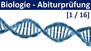 Biologie Abiturprüfung 2024  Tipps und Aufgabentypen 12  Abitur Biologie 116 [upl. by Singer]