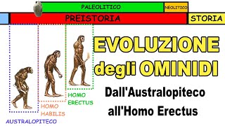 🐒➡🚶🏻‍♂️ LEVOLUZIONE DEGLI OMINIDI dallAustralopiteco allHomo Erectus 🔥 Storia Scuola Primaria [upl. by Katherina]