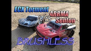 Arrma Senton and ECX Torment Brushless  Phase 1 [upl. by Alyacim]