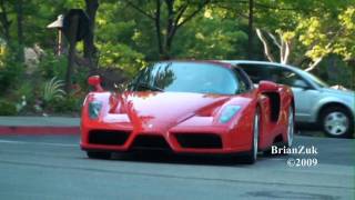 Ferrari Enzo [upl. by Nereen539]