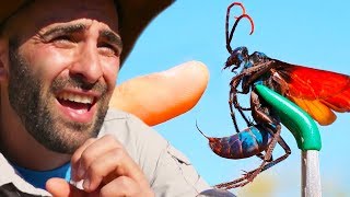 If Coyote Peterson Was Geordie [upl. by Jarvey]