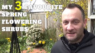 Favourite Spring Flowering Shrubs  What to Grow for Spring Colour amp Interest  Deciduous Shrubs [upl. by Inalawi]