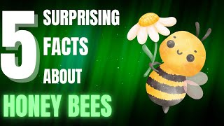 5 Surprising Facts About Honey Bees You Didnt Know [upl. by Clintock906]