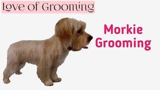 Grooming a Morkie  Yorkie Maltese Mix [upl. by Sapienza]