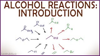 Introduction to Alcohol Properties and Reactions [upl. by Assirhc541]