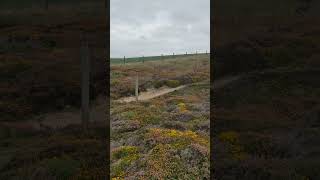 View near Sallys Bottom near Porthtowan Cornwall [upl. by Britteny]