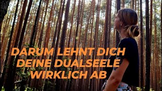 Darum lehnt Dich Deine Dualseele wirklich ab  gefühlsklärer Loslasser dualseelen [upl. by Annalee]