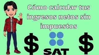 Cómo calcular el ingreso anual neto para la declaración patrimonial [upl. by Ainatnas655]