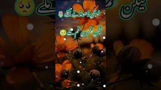 KHUSHI DHONDHNY NIKLY verysadpoetryinurdu subscribemychannel sadshayaristatus sadpoetry ⃣ [upl. by Shepard]