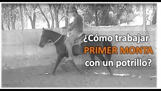 Arrendando Caballos V8 ¿Cómo trabajar la PRIMERA MONTA con un potrillo [upl. by Eerej97]