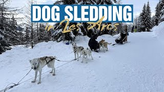 Incredible DOG SLEDDING in Les Arcs through the FOREST 🌲4K [upl. by Assennej]