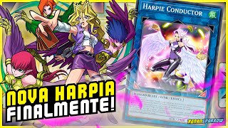 HARPIA NOVO LINK PREPARA O DECK PRO FUTURO  YuGiOh Duel Links 1868 [upl. by Nettle]