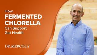 How FERMENTED CHLORELLA Can Support Gut Health [upl. by Eniamirt]