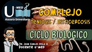 ✔CICLO BIOLOGICO TENIOSIS  CISTICERCOSIS🐖🐄♻ [upl. by Rezal]