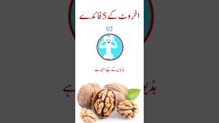 Walnut benefits  Akhrot kay fayde in urdu  AureusHealthCare [upl. by Nairde682]