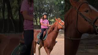 Cavalo humor edit [upl. by Niotna470]