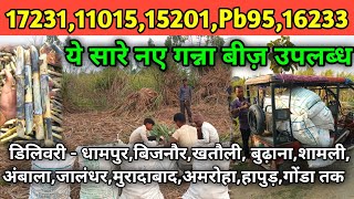 172311101515201Pb9516233 ये सारे नए गन्ना बीज़ सबसे कम रेट में उपलब्ध  new ganna variety [upl. by Eniledam]