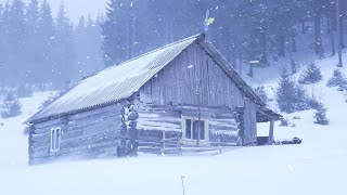 hiding in an abandoned log cabin during a snowstorm [upl. by Nosauq616]