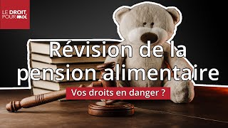 Pension alimentaire  vos droits en danger [upl. by Narf3]