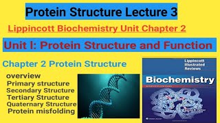 Protein Structure Lippincott Biochemistry Chapter 2 Lecture 3 [upl. by Anselmi]