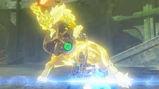 GOLD LYNEL KILL IN 25 SECONDS  Zelda Breath of the Wild [upl. by Home]