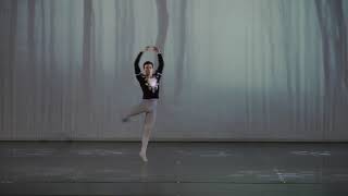 GISELLE ACT 2 EXCERPT ALBRECHT SOLO ONLY ANTONIO CASALINHO [upl. by Wimsatt401]