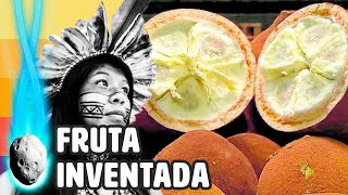 CIENTISTAS FAZEM DESCOBERTA INCRÍVEL SOBRE FRUTA BRASILEIRA [upl. by Ytima437]