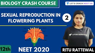 Sexual Reproduction in Flowering Plants  Part 2  Biology Crash Course  Class 12th  NEET 2020 [upl. by Lirpa]