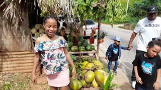 Jamaica holiday vlog  Mandeville Spur Tree Hill  Holland Bamboo and St Elizabeth [upl. by Ahsaetan]