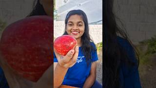 How to peel an apple 🍎 in 10 seconds 🤔TomampJerry 😱DiyaIshwarya shorts [upl. by Akenal680]