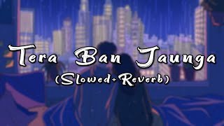 Tera Ban Jaunga  Slowed and Reverb  DJ Basit [upl. by Tirza]