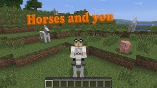 Minecraft Horses and you [upl. by Ahsrats]