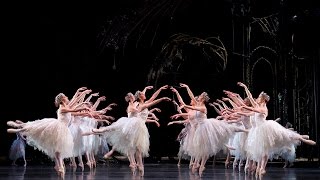 Swan Lake Corps de Ballet The Royal Ballet [upl. by Haraz401]