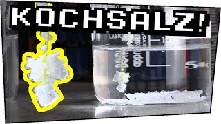 EXPERIMENT  KOCHSALZ KRISTALLE zuhause SELBER ZÜCHTEN   Experimente zum nachmachen 82 [upl. by Berna]