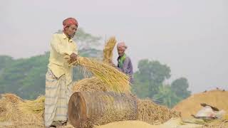 Importancia de la agricultura en un país [upl. by Asoramla]