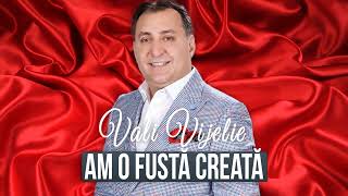 Vali Vijelie  Am o fusta creata Official Music 2024 [upl. by Ahsiakal937]