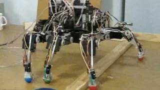 Autonomous Robot With NeurologicallyBased Control System [upl. by Laird786]