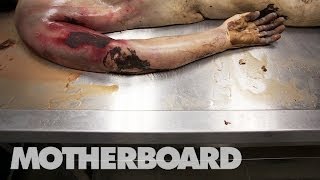 Reviving Dead Bodies in Mexico Trailer [upl. by Hertzfeld]