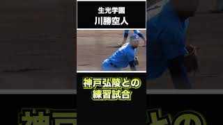 【阪神タイガース】2024年 ドラフト候補！ ＜生光学園高校＞ 川勝空人 投手 徳島県内に敵なし！？大阪桐蔭も練習試合を申し込むほどの逸材！上位指名もあるぞ！？ shorts [upl. by Wasserman]