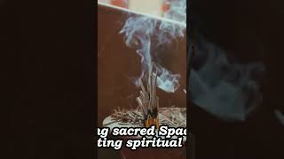 Quassia Spiritual and Medicinal Meaning youtubecreators YouTubeHighFive [upl. by Adnauqaj]