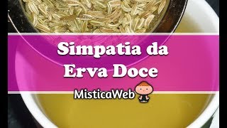 🧙 Simpatia da Erva Doce Para Atrair e Ficar Com o Seu Amor [upl. by Etteluap506]