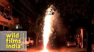 Bursting crackers on Diwali [upl. by Aowda679]