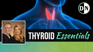 Thyroid Essentials From Symptoms to Solutions  Doctors Nutrition Show [upl. by Widera]