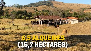 SÍTIO DE 65 ALQUEIRES À VENDA EM PRATÁPOLIS  MG VALOR 100 MIL O ALQUEIRE [upl. by Sachi846]