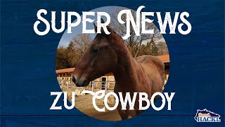 Super News zu Cowboy [upl. by Coshow714]