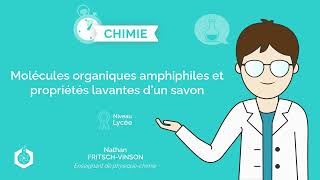 ⌚🧪 Molécules organiques amphiphiles et propriétés lavantes d’un savon ‖ Physique  Chimie ‖ Lycée [upl. by Acirretal]