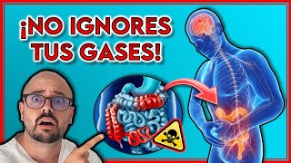 ESTO es lo que tus GASES revelan de tu estado de SALUD  ¡Tu INTESTINO te esta AVISANDO [upl. by Gronseth]