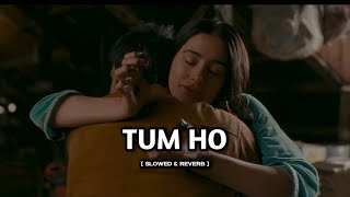 Tum Ho Slowed amp Reverb  Rockstar  Mohit Chauhan  Shohans Reverb [upl. by Dedrick126]